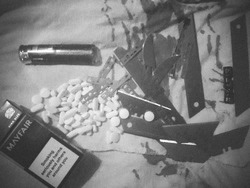 Journal_pane_10024521402341493