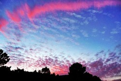 Journal_pane_10060631407219014