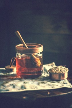 Journal_pane_10156831409236179