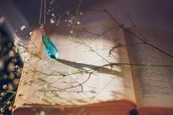 Journal_pane_10156831409487331