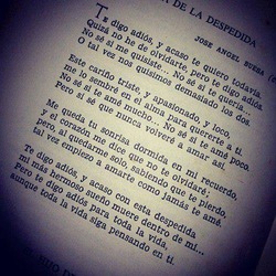 Journal_pane_7904701377540767