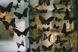 Journal_pane_7904701390129778