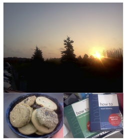 Journal_pane_8330691411710254