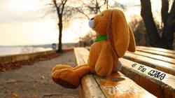 Journal_pane_9170061429217273