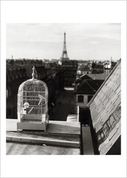 Journal_pane_9400361378821884