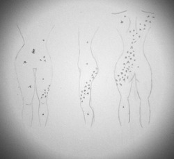 Journal_pane_9616301392986599