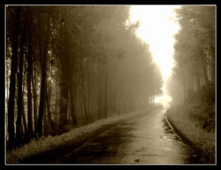 Journal_pane_9735991391021765
