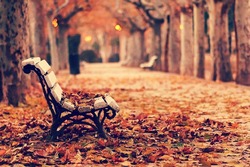 Journal_pane_9763401415139628