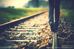 Journal_pane_9789251397915366
