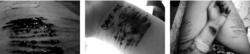 Journal_pane_9799921392938418