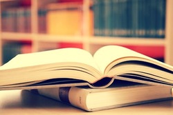 Journal_pane_9861651402076502